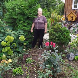 ���� ��������, ������, 64 ���� - ��������� 17 ������� 2023