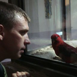 ���� ����, ������, 48 ��� - ��������� 28 ���� 2023