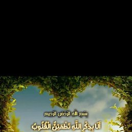 ������ ������, ������, 33 ����