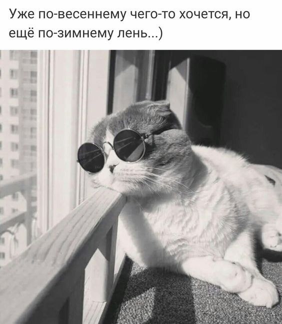  - 20  2023  23:21