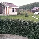 ���� ���������, ������, 42 ���� - ��������� 30 ���� 2023 � ������ ���� ����������