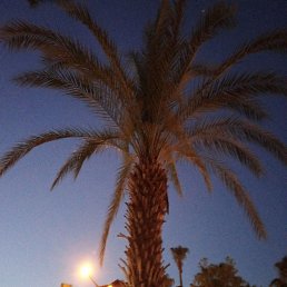 ���� �������, ������, 62 ���� - ��������� 30 ��� 2023