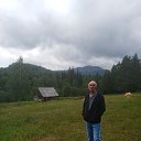  , , 68  -  31  2023    