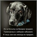 ���� �������, ������, 60 ��� - ��������� 20 ������� 2023 � ������ ���� ����������