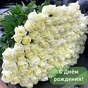 ���� ����, �������, 71 ��� - ��������� 7 ���� 2023