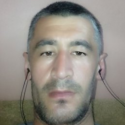 , , 31 