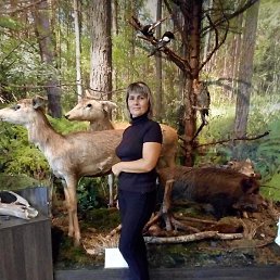 ��������, �����, 56 ���