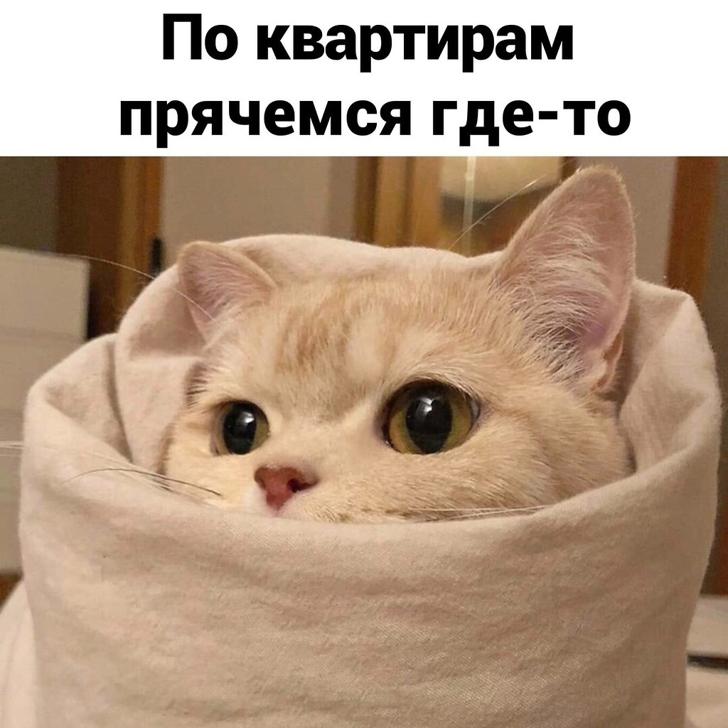   - 4
