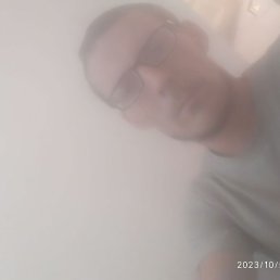 ������, �����, 40 ���