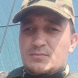 �������, �������, 38 ���