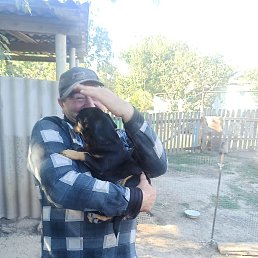 ����, ������-��-����, 52 ����