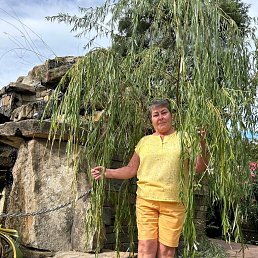 ���� �����, ��������� - ��������� 12 �������� 2023