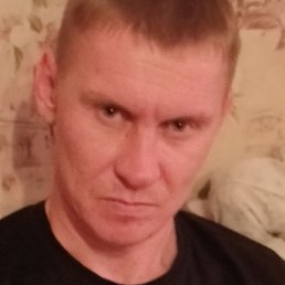 �����, �������, 37 ���