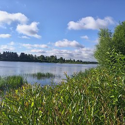 �����, ���������, 38 ���