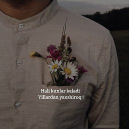 Shoh, �����, 31 ���