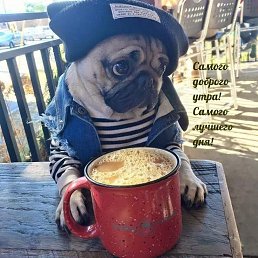 ���� ����, ���������, 41 ��� - ��������� 28 ������� 2023