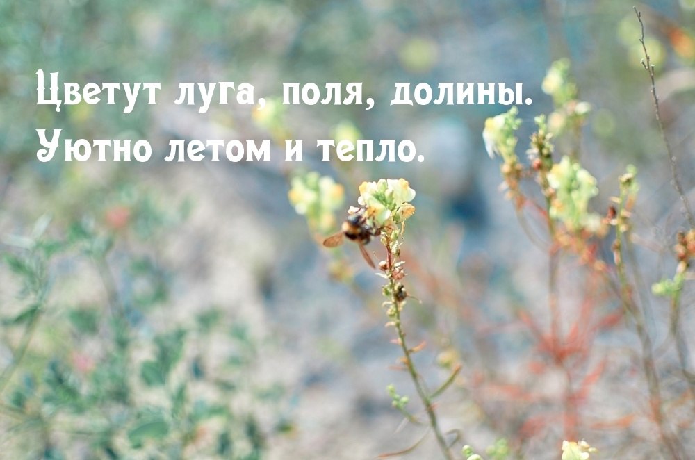   ,    . - 11  2023  22:30