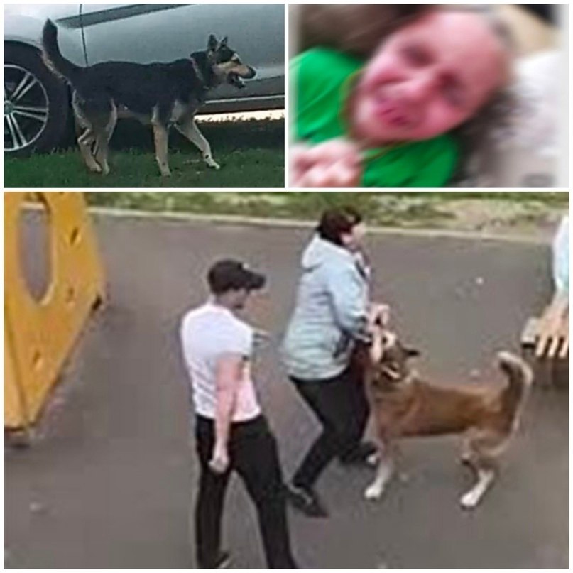 Страшный инцидент произошел на новомосковской площадке. Молодая мама пришла на площадку со своими ...