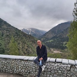 ����, �������, 54 ����