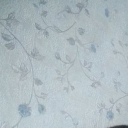 ��������, ������, 42 ����