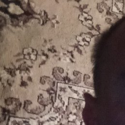 �������, ���������, 48 ���