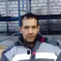 ������, ����, 41 ���