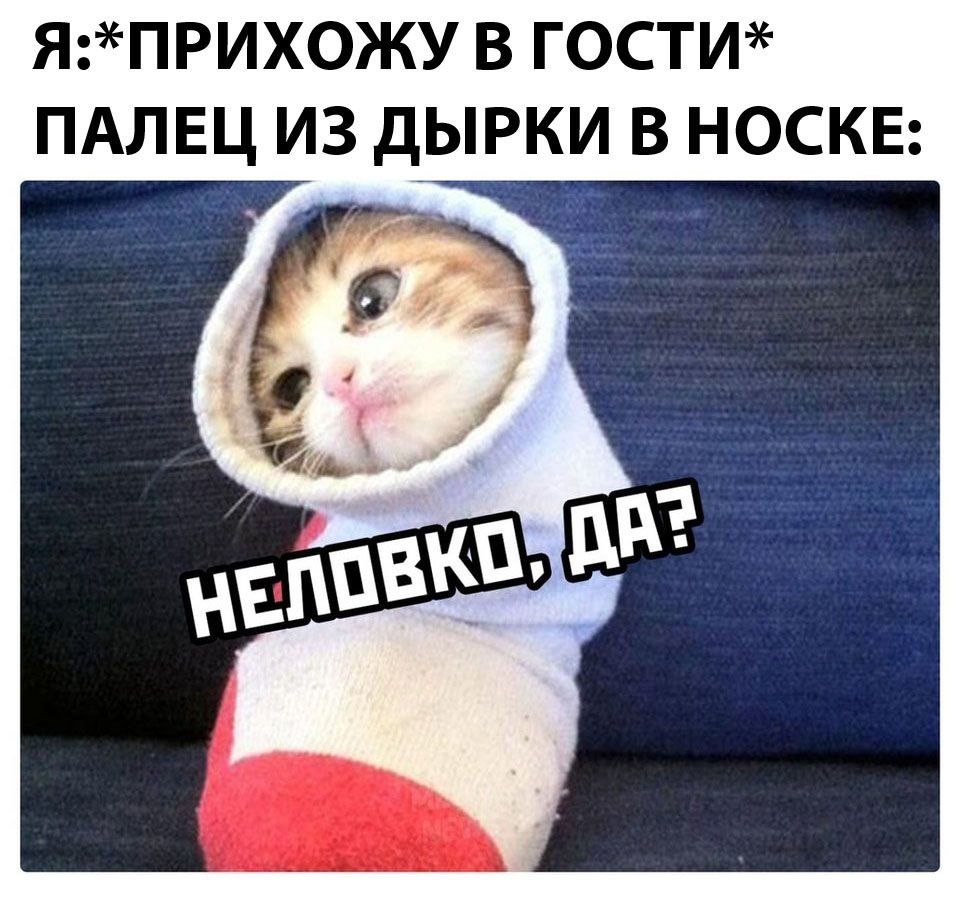    - 2  2023  21:13