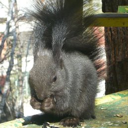 ���� ���, ����, 71 ��� - ��������� 27 ���� 2023