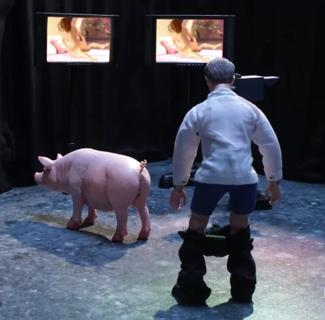 человек трахает свиней фото 81