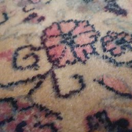 ������, ������, 38 ���