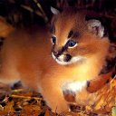 ���� ������, ���������, 54 ���� - ��������� 7 �������� 2023