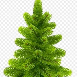 �, �������������, 43 ����