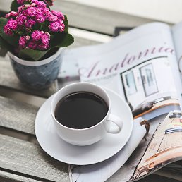 �����, ������, 37 ���