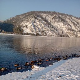 ���������, ����������, 33 ����