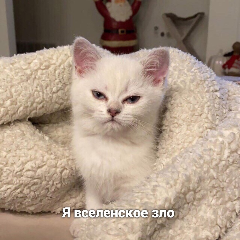     - 2