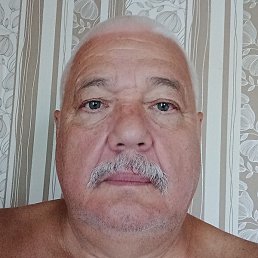 ������, �����, 64 ����