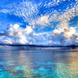 A, ����-���������, 46 ���