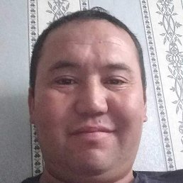 �����, ������, 46 ���