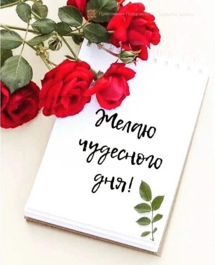      "" !..