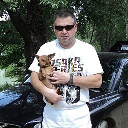 ����, ������, 61 ���