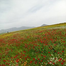 ���, ������, 31 ���