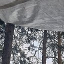 ���� ��������, ������, 61 ��� - ��������� 15 ���� 2023 � ������ ���� ����������