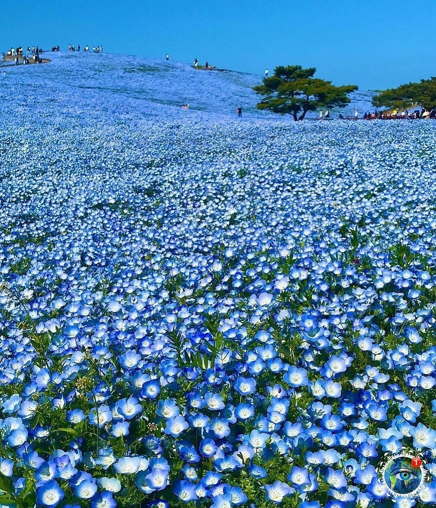  caee, aec, oe ooe a o, a  o e a.   ca, o o oe eoa  ... - 3