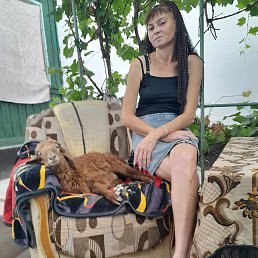 ����, ������, 48 ���