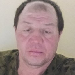 ������, ������, 49 ���