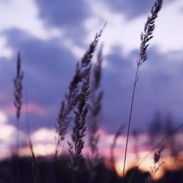 ��������, ������, 47 ���