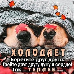 ���, ����������, 52 ����