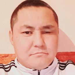 ������, ������, 37 ���