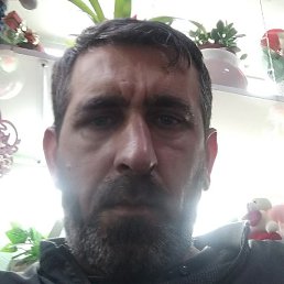 ����, ������, 49 ���