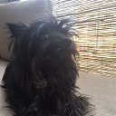 ���� Nina, �����, 65 ��� - ��������� 28 ������� 2023 � ������ ���� ����������